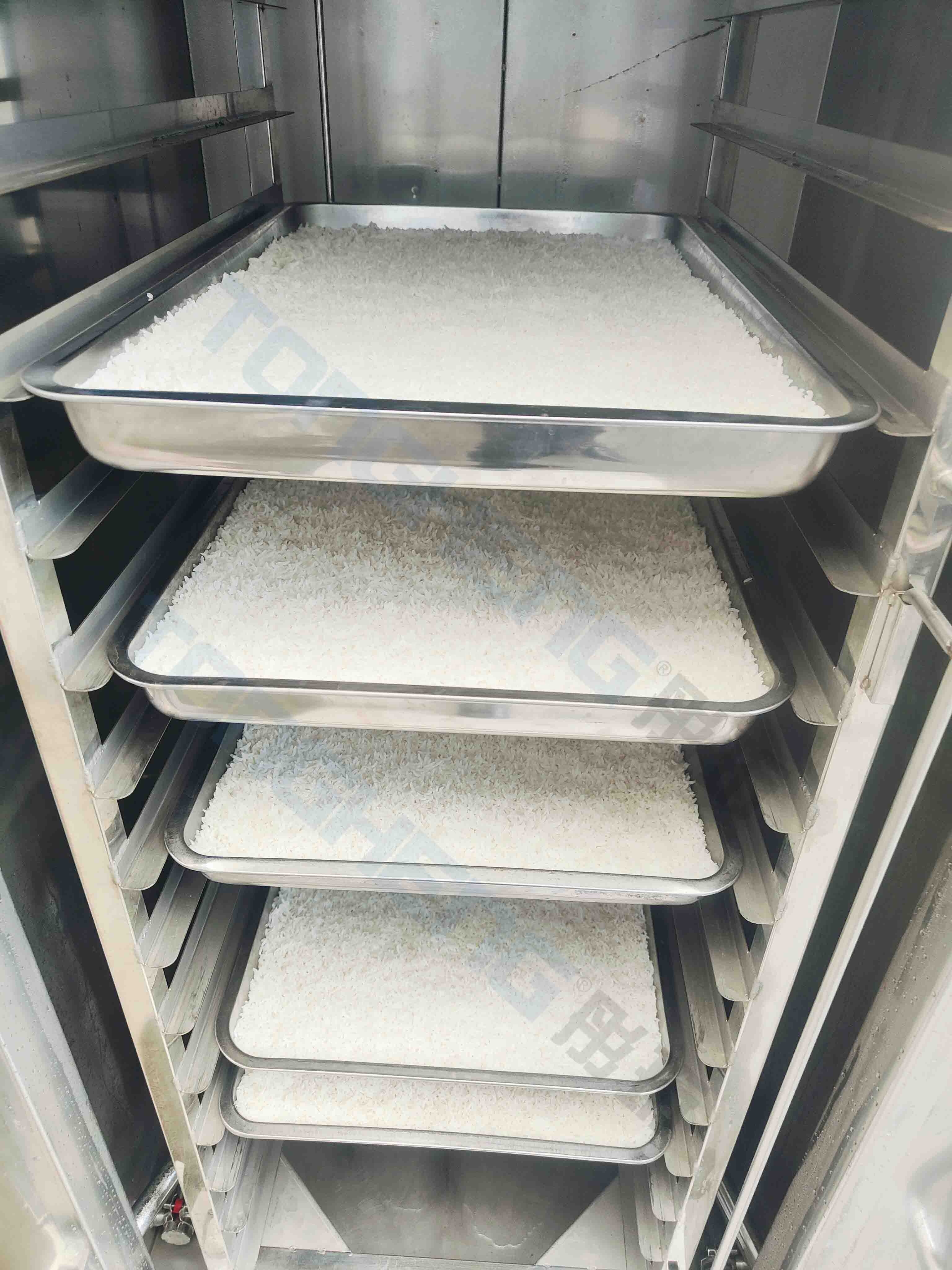 Commercial School Canteen 18 T – Commercial Steamer Cabinet recenzja i cena