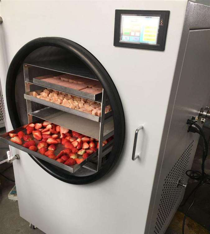 Commercial Industrial Mini Fre – Commercial Food Dehydrator recenzja i cena